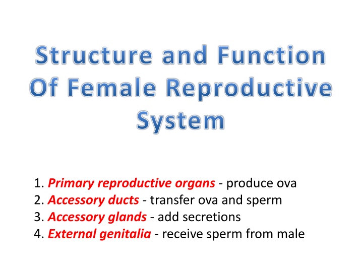 structure and function of female reproductive