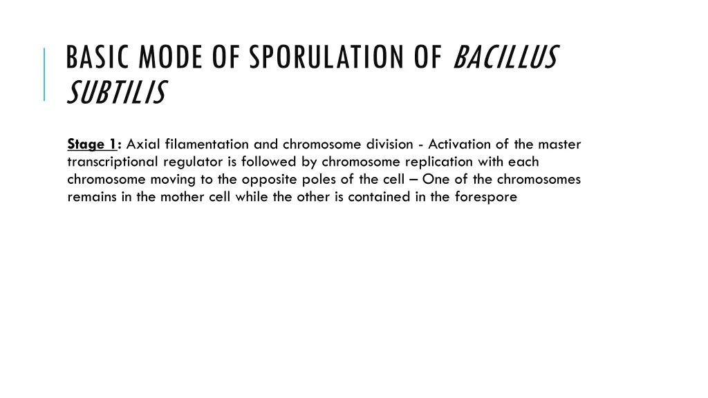 basic mode of sporulation of bacillus subtilis 2