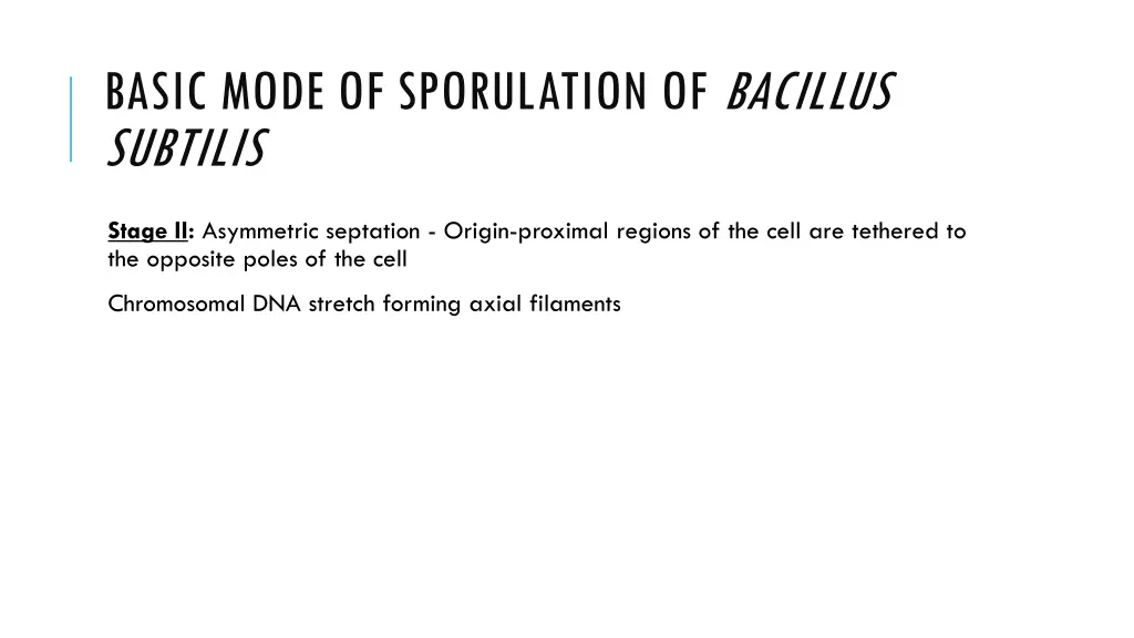 basic mode of sporulation of bacillus subtilis 3