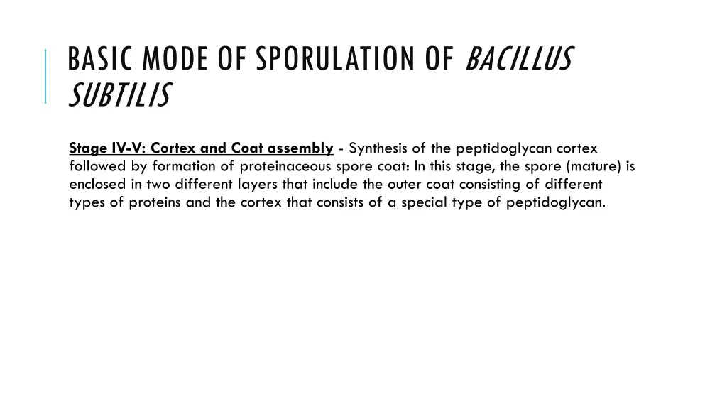 basic mode of sporulation of bacillus subtilis 5