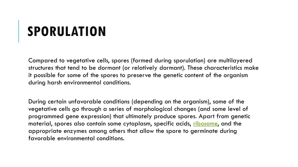 sporulation 1