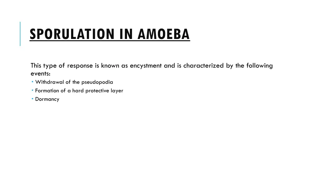 sporulation in amoeba 1