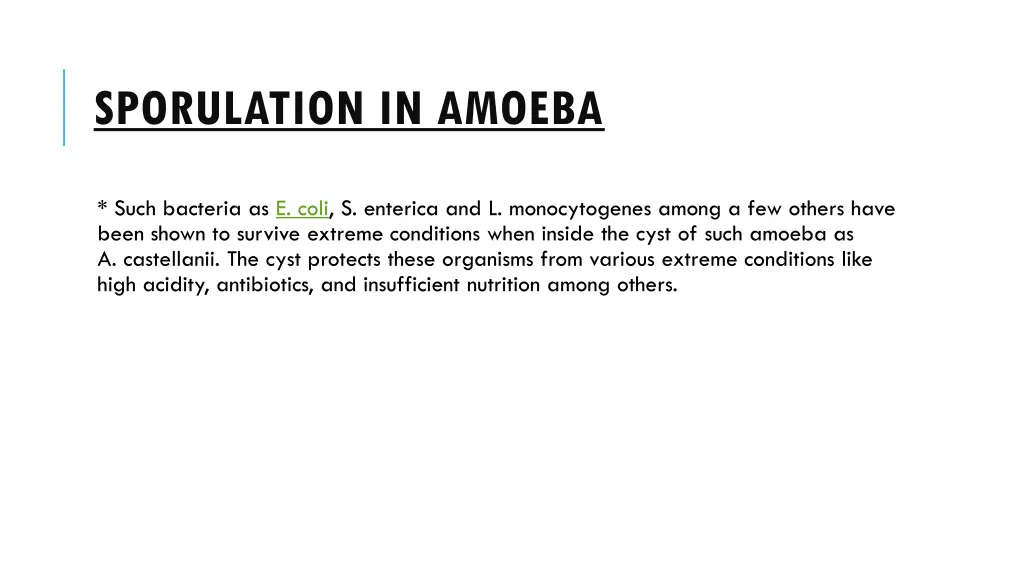 sporulation in amoeba 2