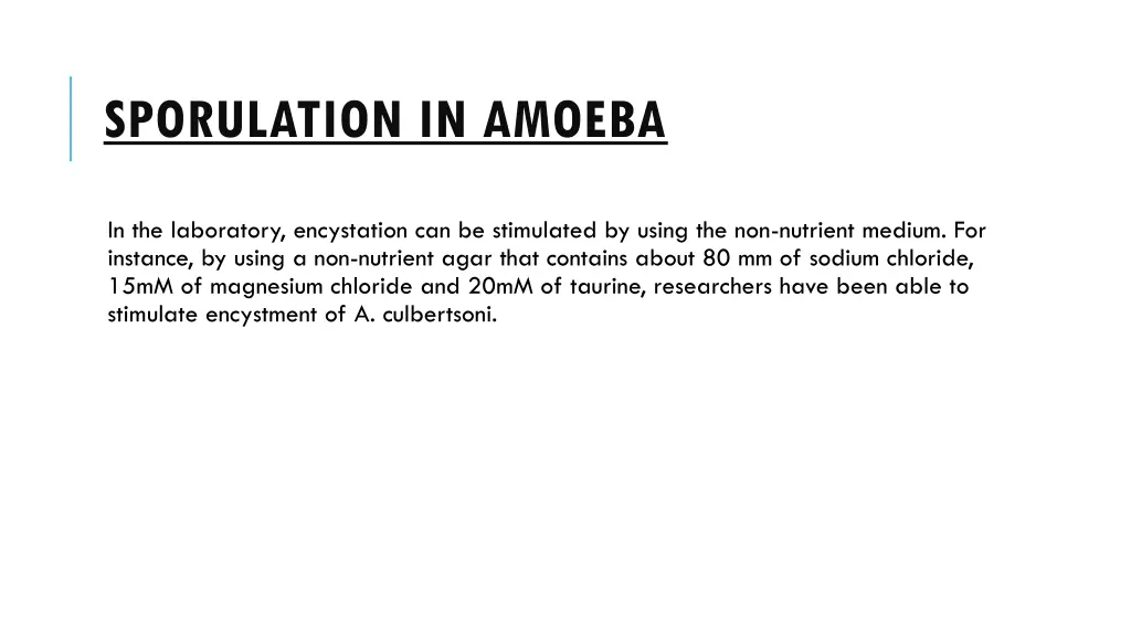 sporulation in amoeba 3