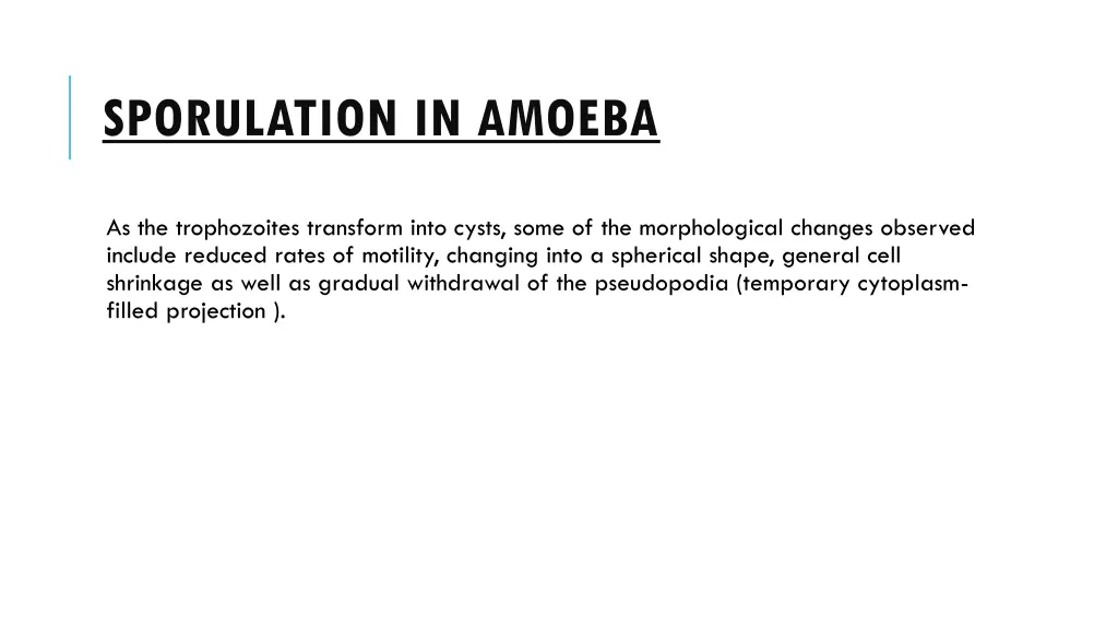 sporulation in amoeba 4