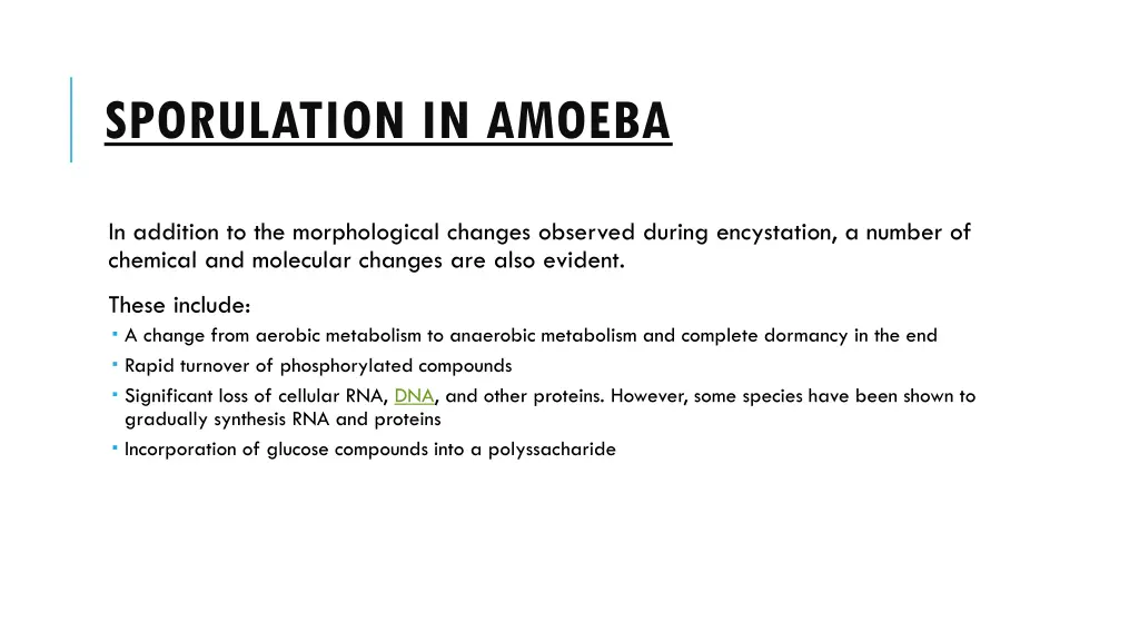 sporulation in amoeba 6