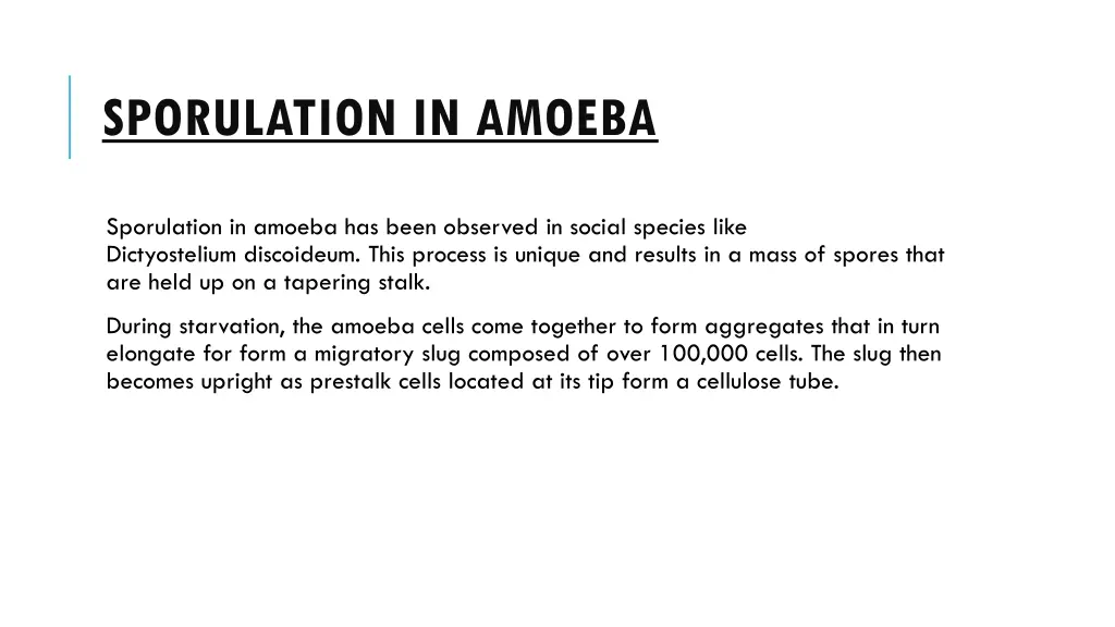 sporulation in amoeba 7