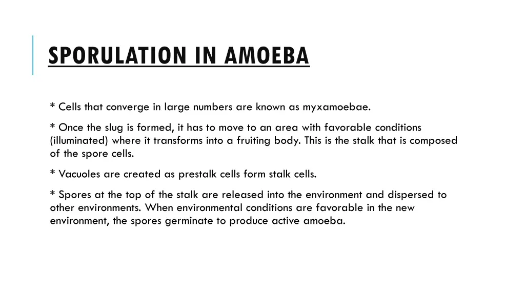 sporulation in amoeba 9