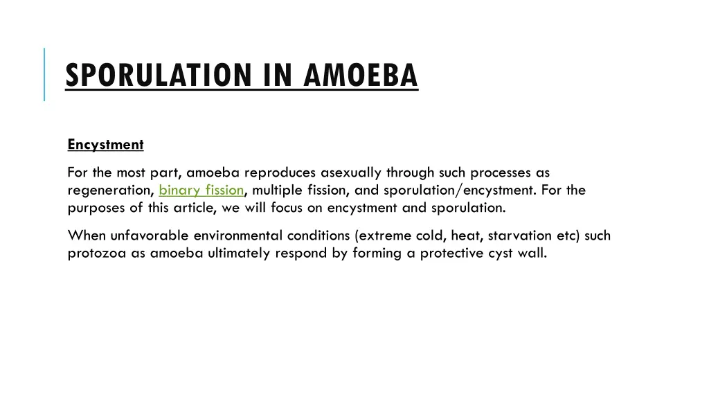 sporulation in amoeba