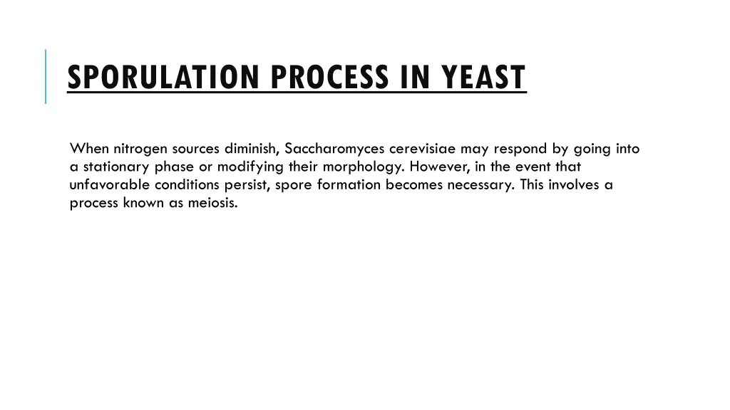sporulation process in yeast 1