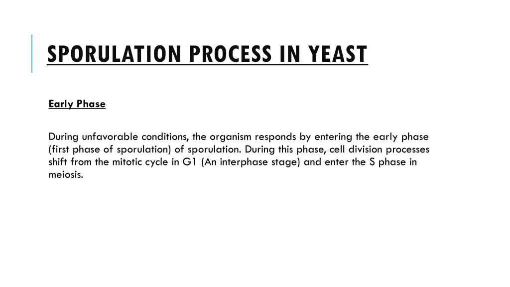 sporulation process in yeast 2