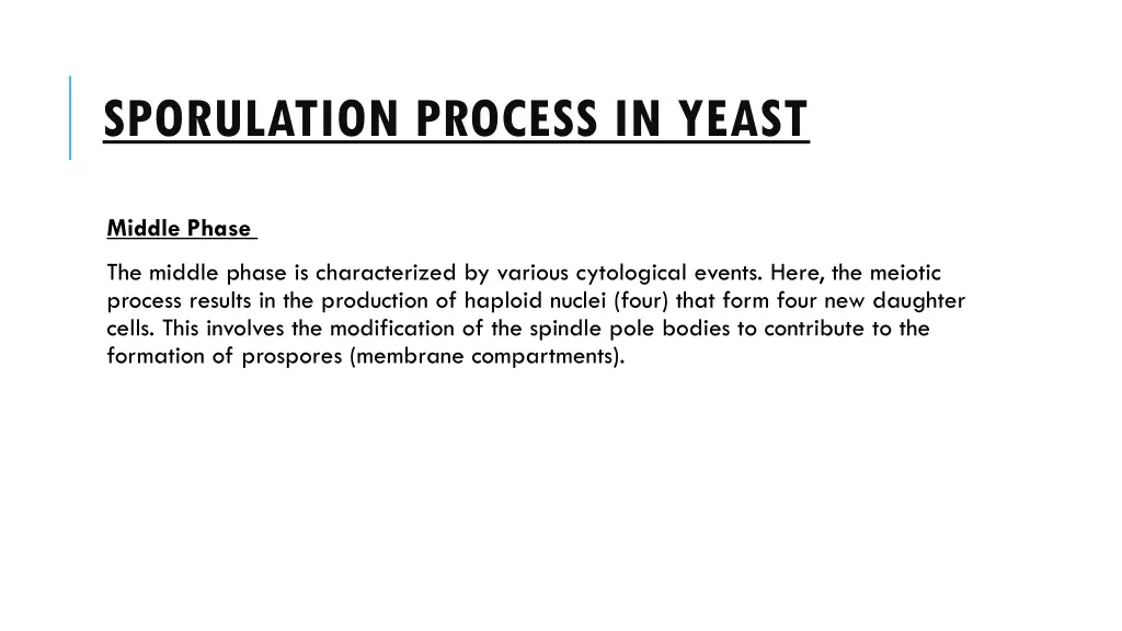 sporulation process in yeast 4