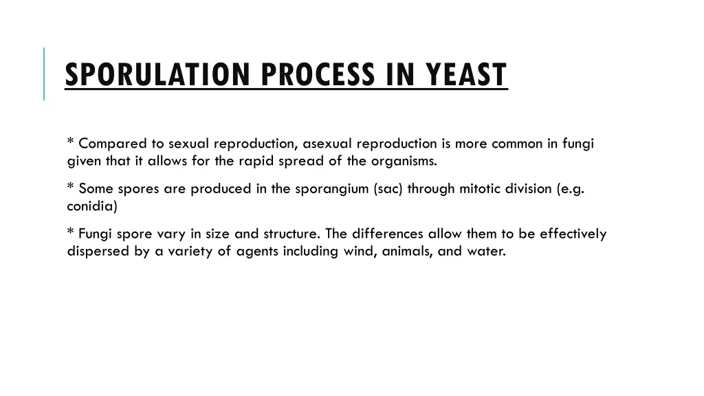 sporulation process in yeast 8