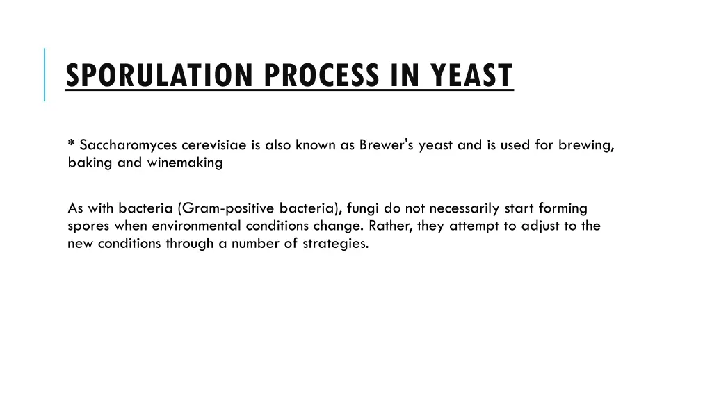 sporulation process in yeast