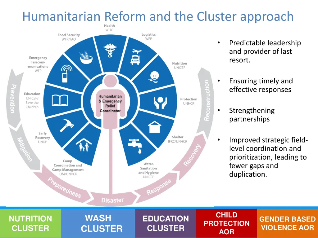 humanitarian reform and the cluster approach