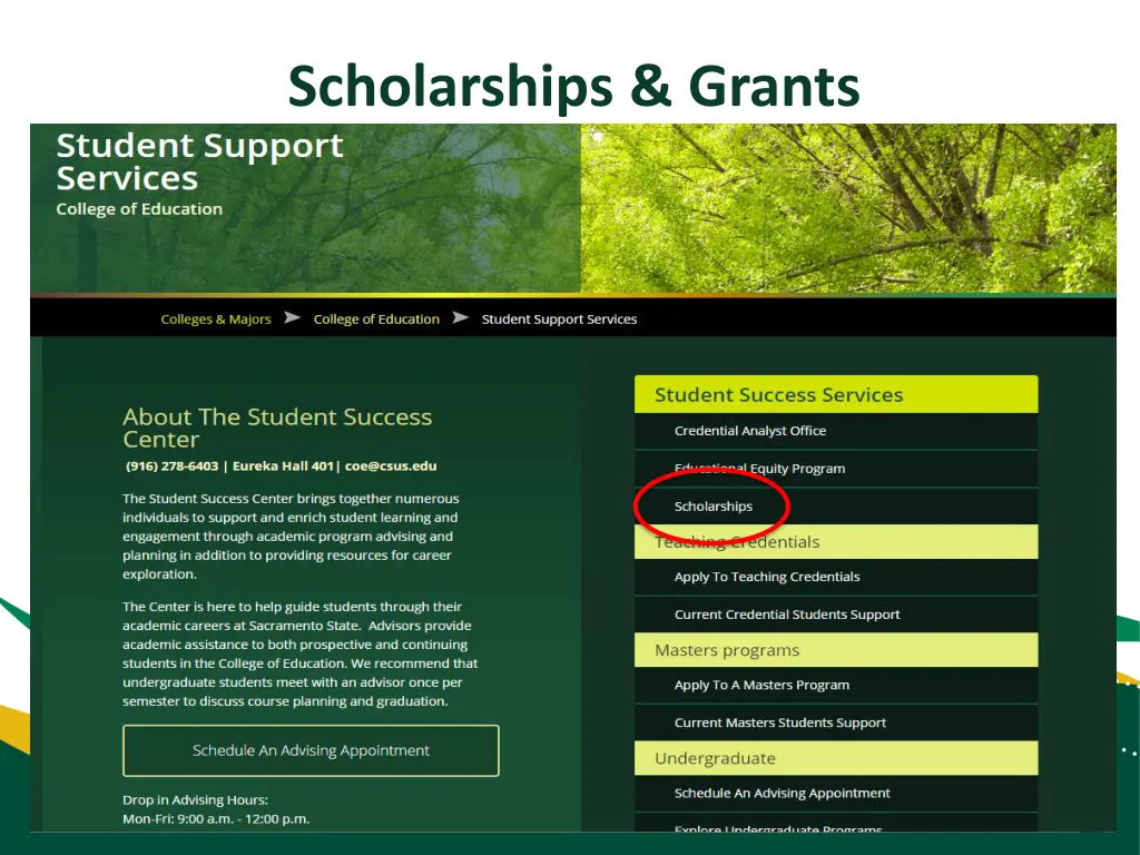 scholarships grants