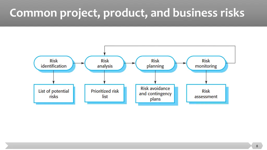 common project product and business risks