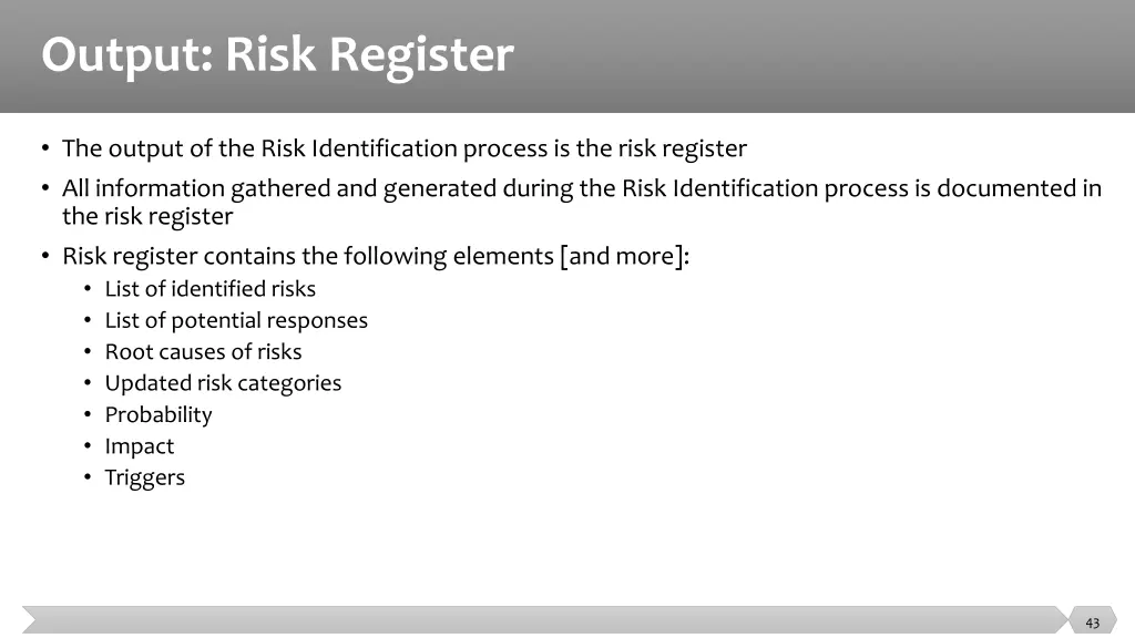 output risk register