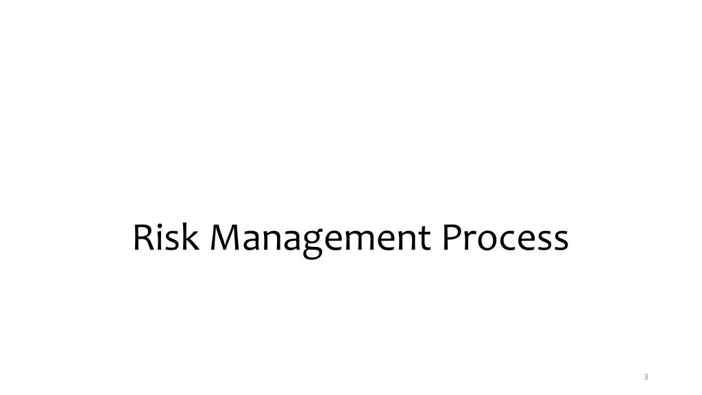 risk management process