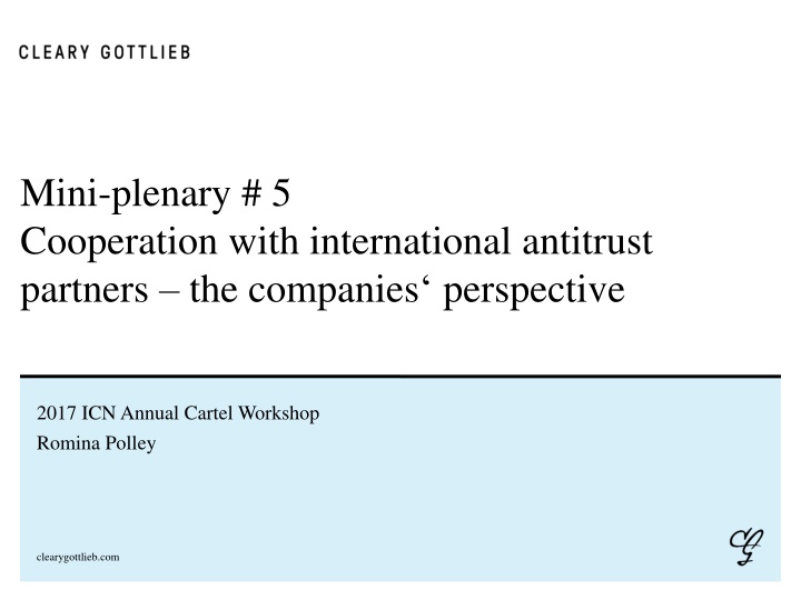 mini plenary 5 cooperation with international