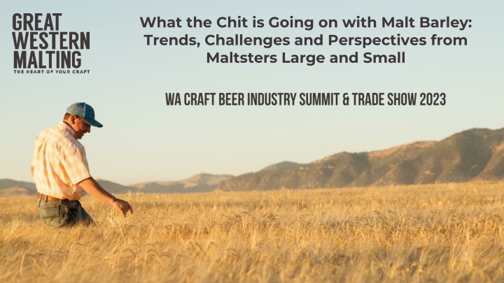 what the chit is going on with malt barley trends