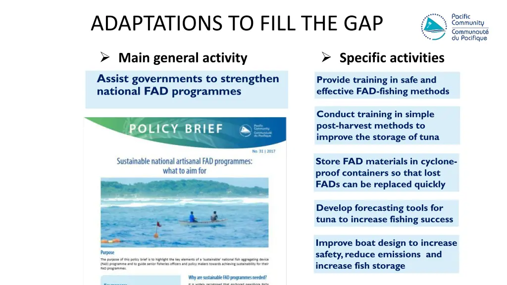 adaptations to fill the gap 1