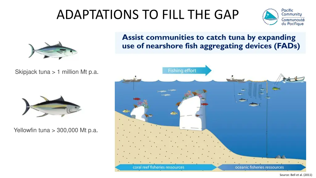 adaptations to fill the gap