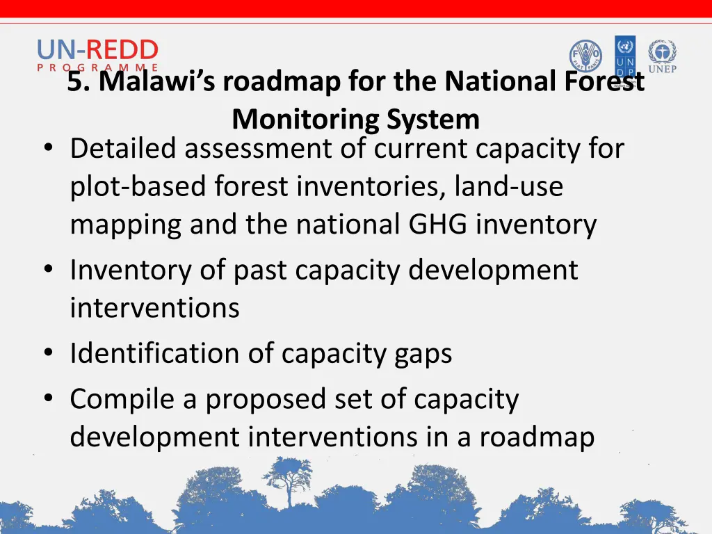 5 malawi s roadmap for the national forest