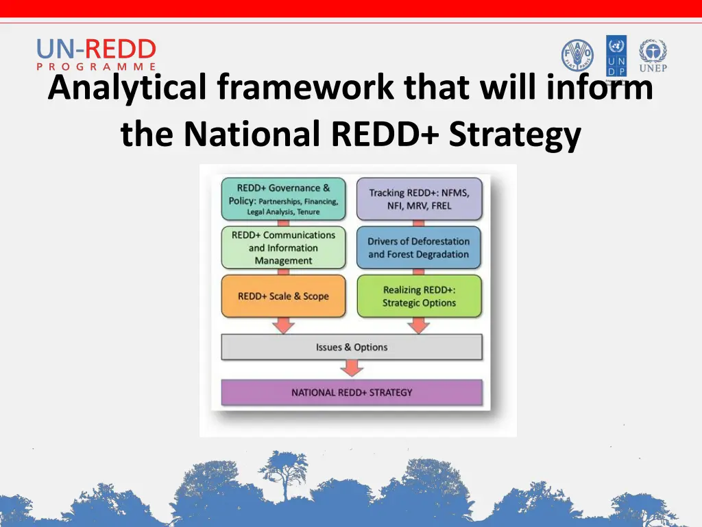 analytical framework that will inform