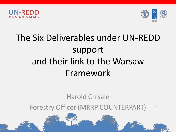 the six deliverables under un redd support