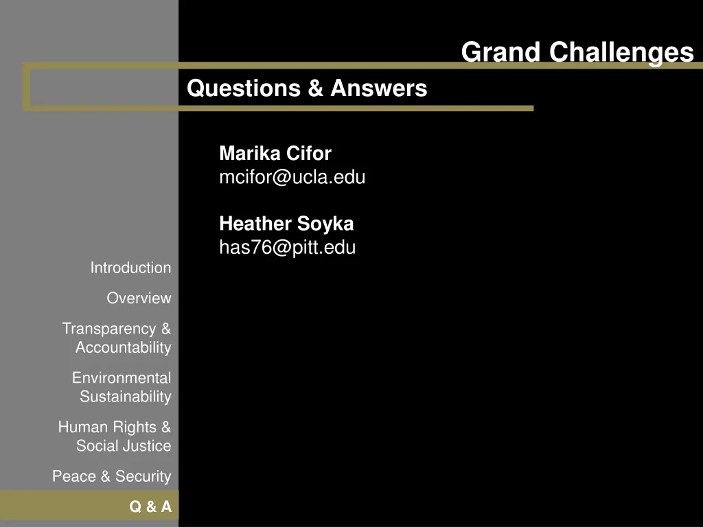 grand challenges 20