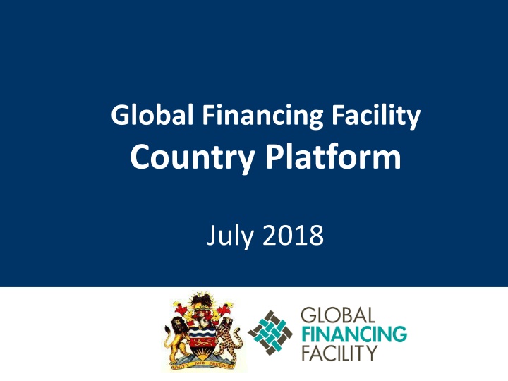 global financing facility country platform