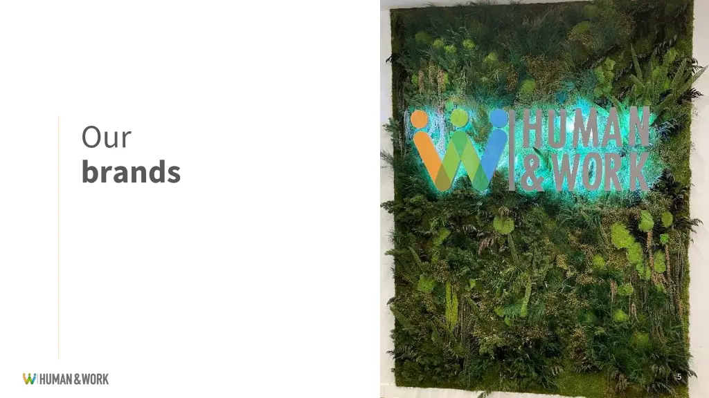 our brands
