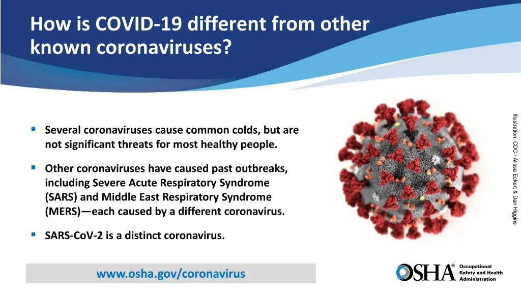 how is covid 19 different from other known