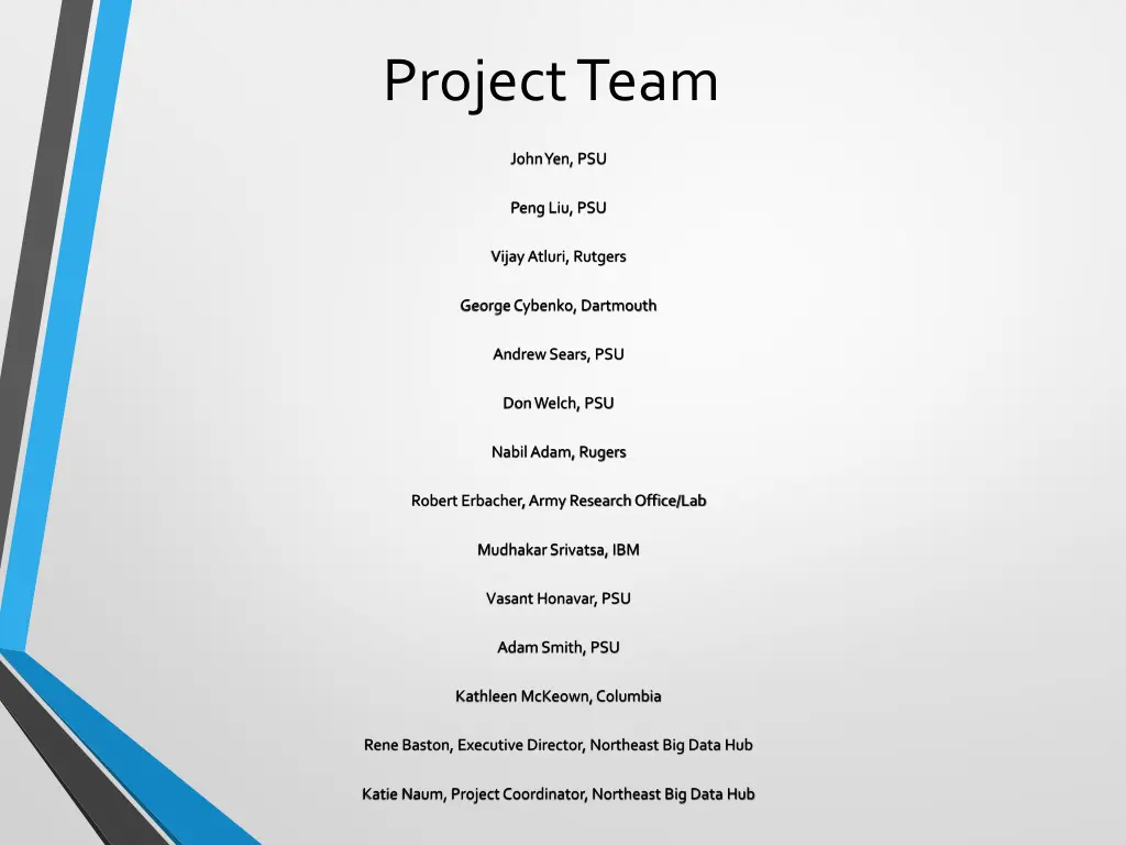 project team