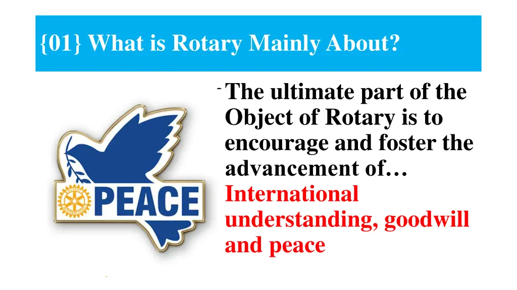 01 what is rotary mainly about
