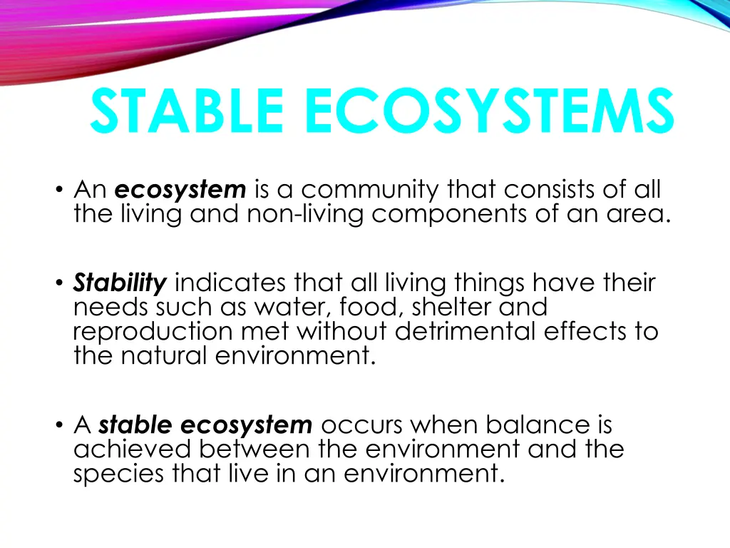 stable ecosystems
