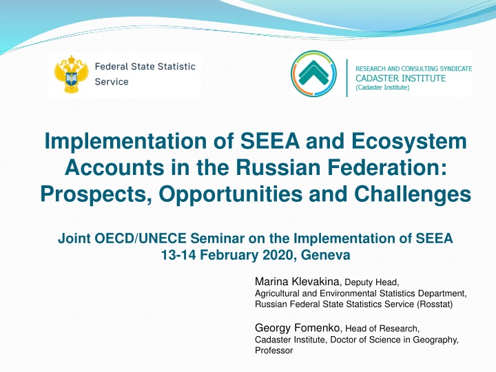 implementation of seea and ecosystem accounts