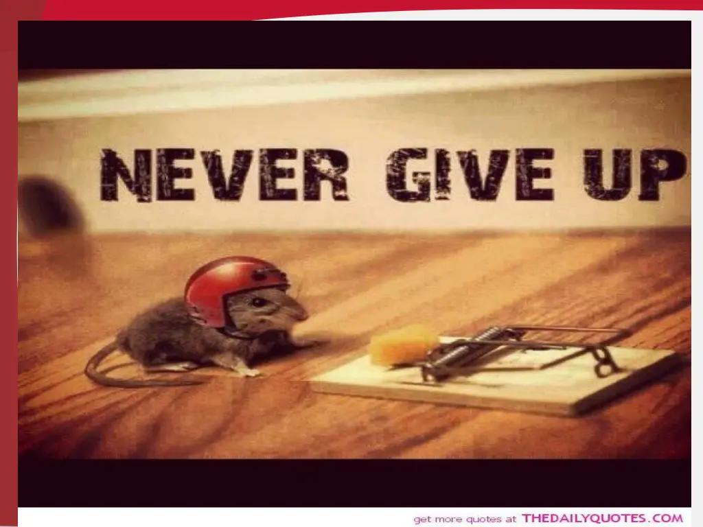 slide35