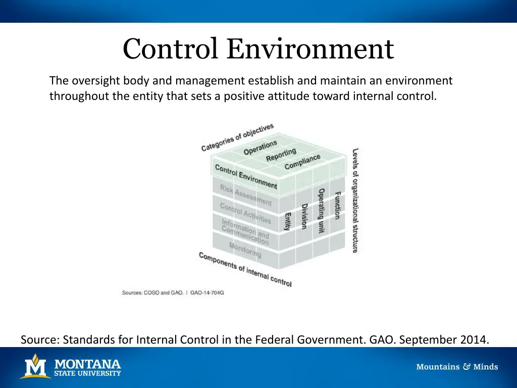 control environment