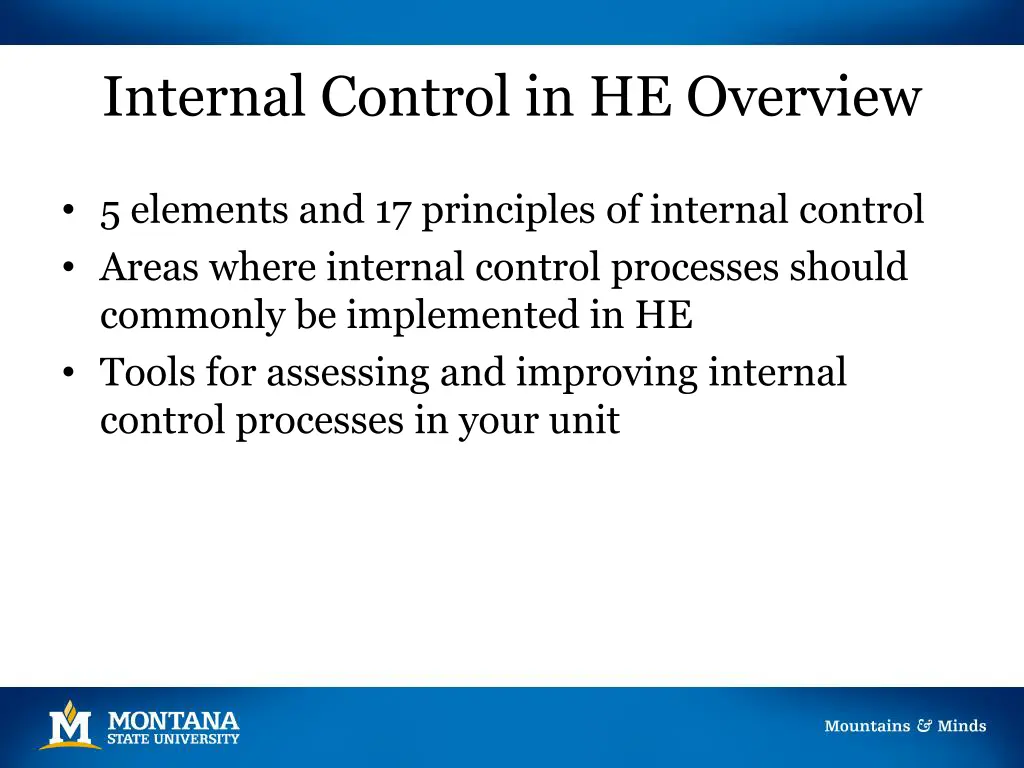 internal control in he overview