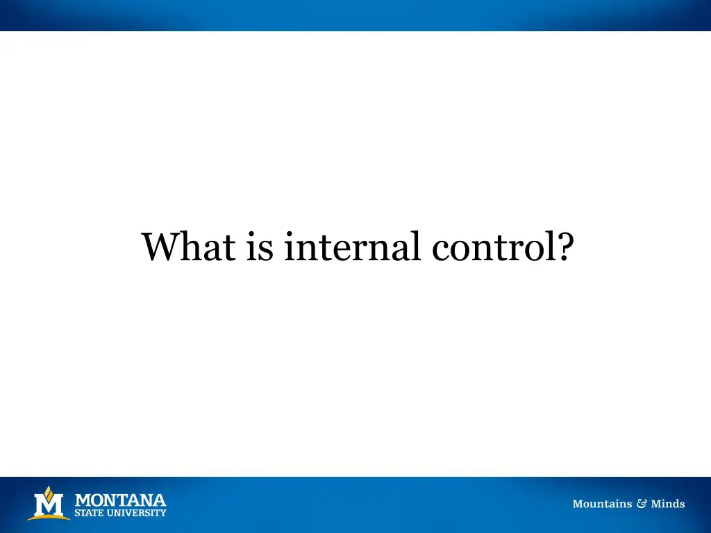 what is internal control