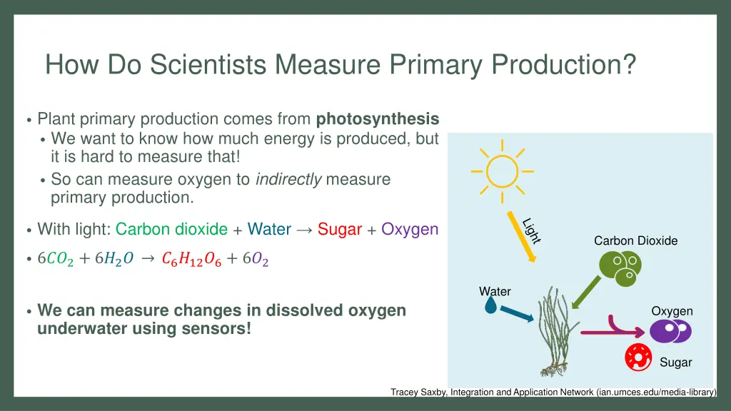 how do scientists measure primary production