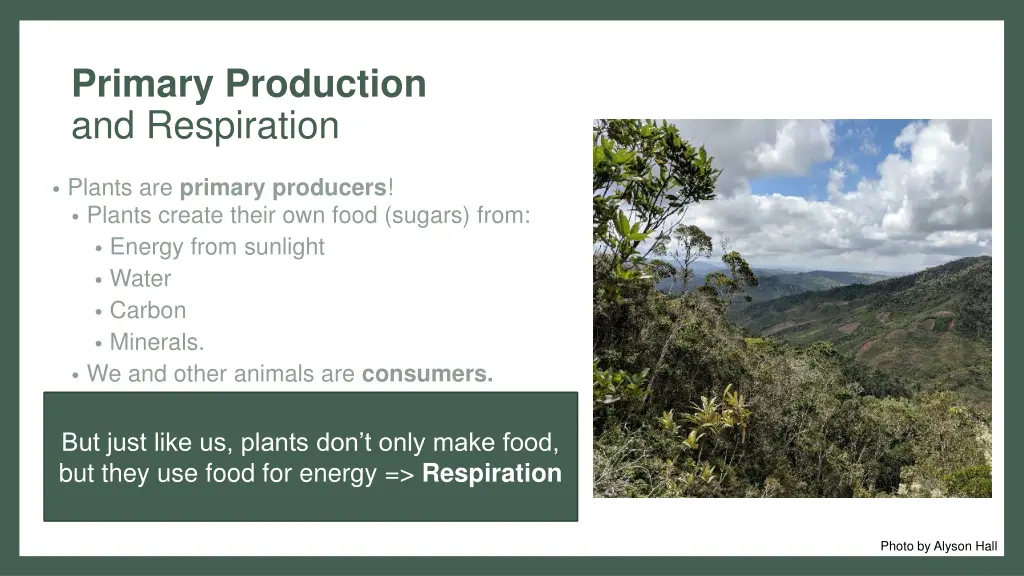 primary production and respiration 1