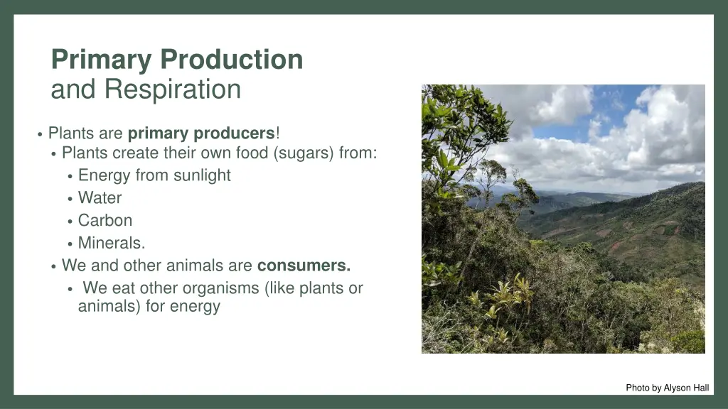 primary production and respiration