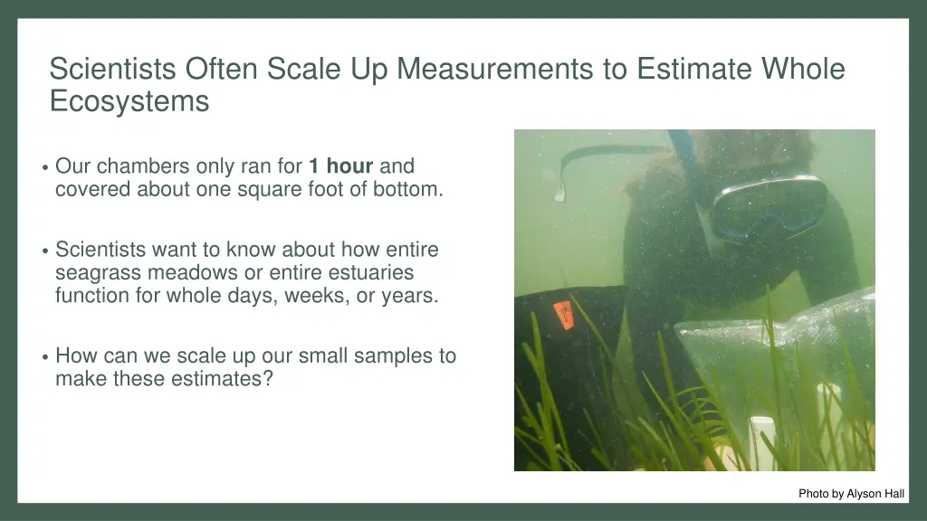 scientists often scale up measurements