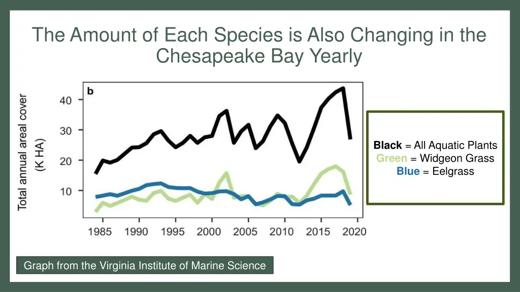 the amount of each species is also changing