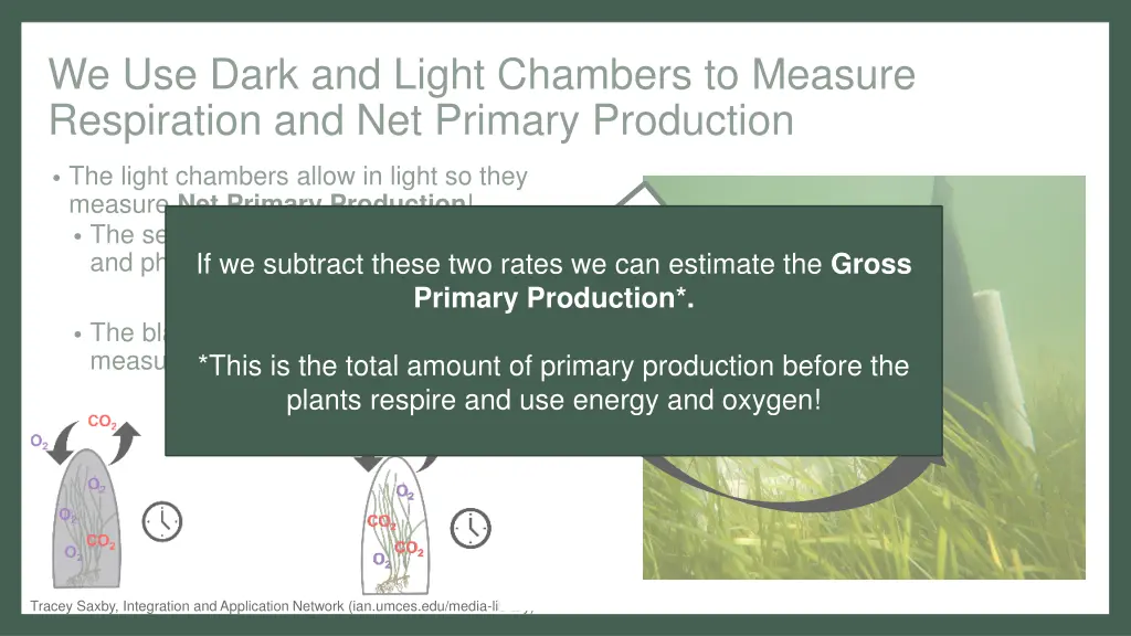 we use dark and light chambers to measure 1