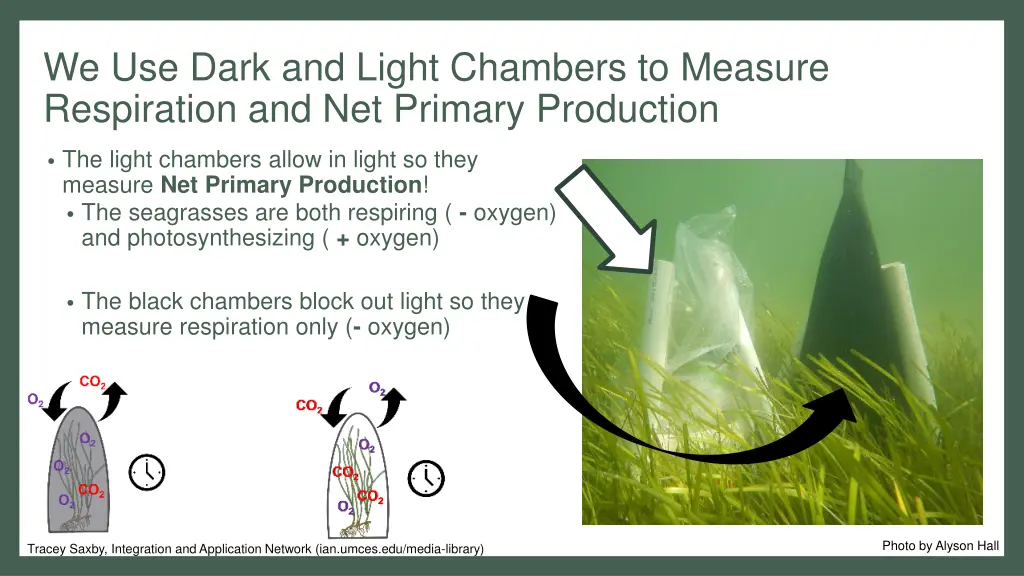 we use dark and light chambers to measure