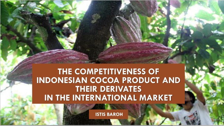 the competitiveness of indonesian cocoa product